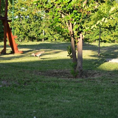 Cabanas "En Familia" San Rafael  Εξωτερικό φωτογραφία